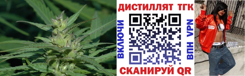 Купить  Кедровый  Дистиллят ТГК THC oil 