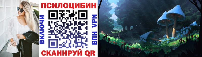 Купить закладки  Кедровый  Псилоцибиновые грибы ЛСД 